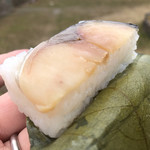 Tatsumi - 柿の葉すし 鯖
