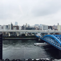 浅草むぎとろ 本店 - 
