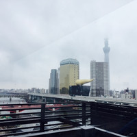 浅草むぎとろ 本店 - 