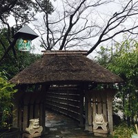 九つ井 本店 - 