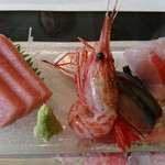 Sushi Tsukasa - まぐろ、しまえび、示さば、きんき