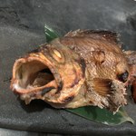 味噌坐　玉響 - 