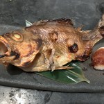 味噌坐　玉響 - 