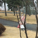 バイエルン - バイエルン