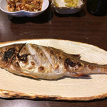 Tongarashi - 