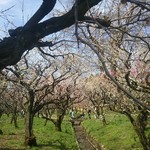 京町家茶房 宗禅 - 