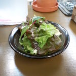 神戸甘辛カレー きてたもんせ - 甘辛夏野菜のカレー（サラダ）