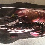 つけ麺 五ノ神製作所 - 看板のえび！