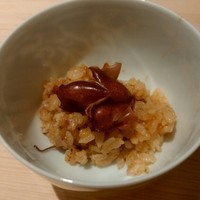 紀尾井町 三谷 - ホタルイカ蒸しご飯