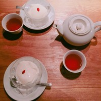雪梅花 菜根譚 - 