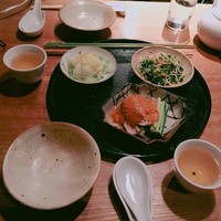 雪梅花 菜根譚 - 