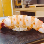 鮨 はしもと - 2017.2.  車海老