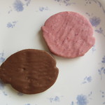 BON OKAWA Karuizawa Chocolate Factory - 軽井沢ラスク　ミルクチョコレート＆ラズベリーチョコレート