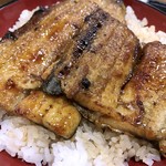 浜松 - うなぎ丼「特」大盛り　アップ
