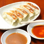 Fried Gyoza / Dumpling (5 pieces)