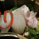 丸太町十二段家 - 