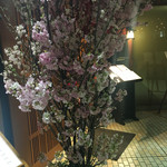 人形町今半 - 桜は本物！