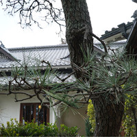 横浜うかい亭 - 