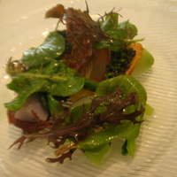 Q.E.D.CLUB - 