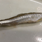 みょうが屋 - 椎葉のワカサギ