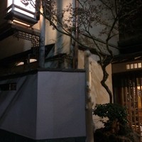 ぼたん - 