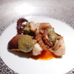 エクアトゥール - イイダコのトマトソース