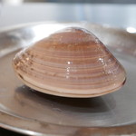 エクアトゥール - こちらのハマグリちゃん