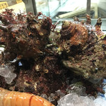 鮨松榮 - 巨大サザエ