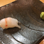鮨松榮 - ボタン海老の刺身