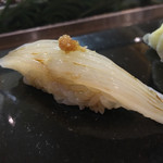 鮨松榮 - アオリイカ