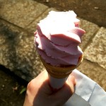 四季の花 - ソフトクリーム桜　撮る前に食ってもた。。