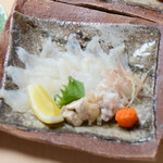 Sashimi of stonefish