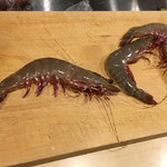 旬菜 おぐら家 - 足赤海老