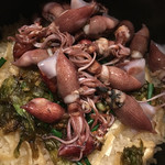 旬菜 おぐら家 - 生ホタル烏賊とふきの唐の炊き込みご飯