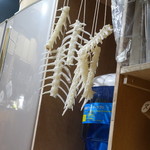 山猫軒 - この鯛で５－６Ｋｇ級だそうです