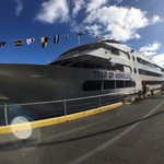 Star of Honolulu - 