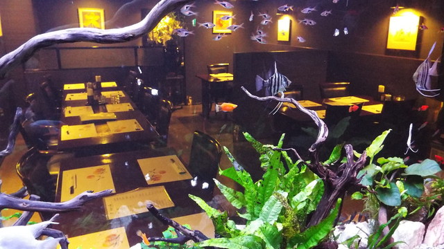 Creative Noheji photo 5