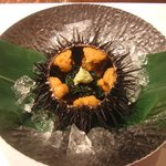 光悦 - コースに出た、絶品　殻雲丹