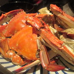 食堂ぱんち 松吾郎 - 松葉ガニ