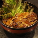 Yakinikudontadon - カルビ丼