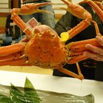 望洋樓 - 茹で蟹