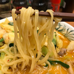 Hidakaya - チゲ味噌ラーメンの麺アップ