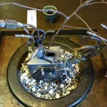 蕎麦喰い処 利めい庵 - 店内