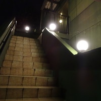 眞 - 