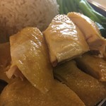 Sunflower Cafe - 鳥かわ