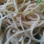 石臼挽き 手打蕎麦 みずき - お蕎麦のアップ