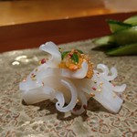 天寿し - 赤烏賊