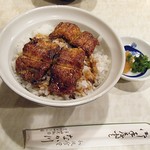 Nakagawa Shiyokudou - うな丼