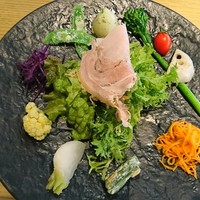 MOTORA  - 