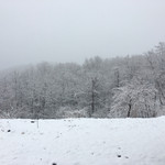 観山聴月 - 外は一面雪景色！(◎_◎;